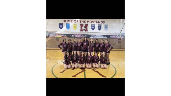 This years Mustang girls volleyball team.