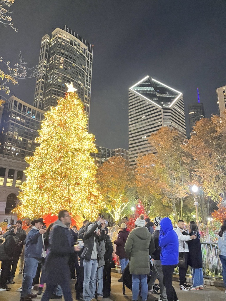Downtown Chicago Christmas Tree is a huge draw for holiday shoppers and visitors.  