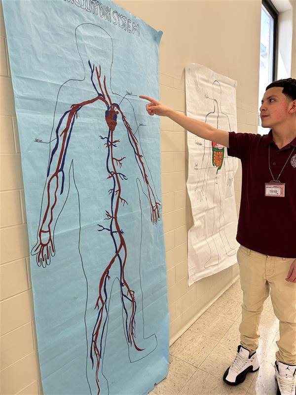 Sophomore Kevin Alfaro points to his science poster of the human body for anatomy class.  "I'll be focusing on my keeping my own body in shape this spring break,: said Alfaro.